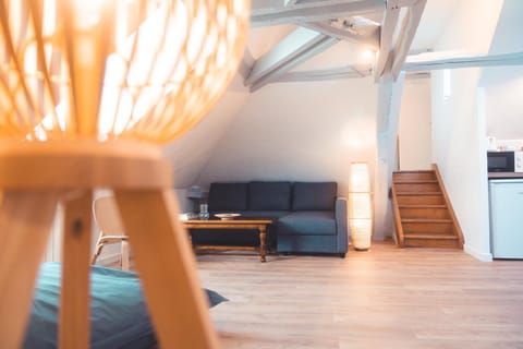 Le Nid dAigle - Spacieux logement sous les toits Apartment in Saint-Cyr-sur-Loire