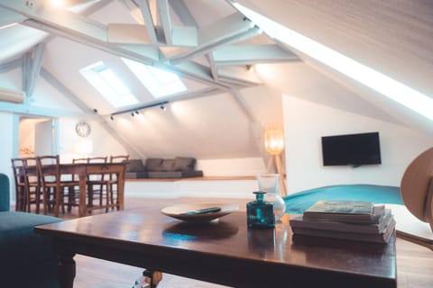 Le Nid dAigle - Spacieux logement sous les toits Apartment in Saint-Cyr-sur-Loire