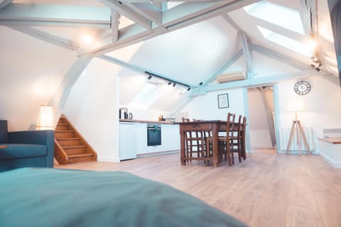 Le Nid dAigle - Spacieux logement sous les toits Apartment in Saint-Cyr-sur-Loire