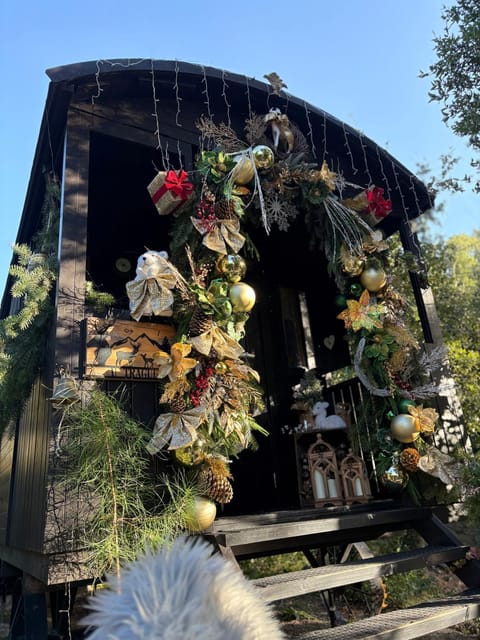 Roulotte insolite U tragulinu House in Zonza