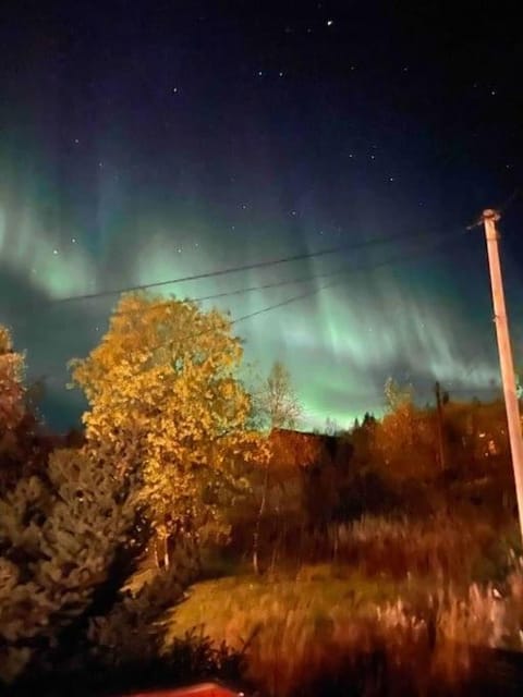 Nydelig villa med havutsikt og utendørs badestamp House in Nordland, Norway