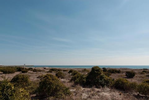 Summer Salt North Unit by Bryant Real Estate House in Wrightsville Beach