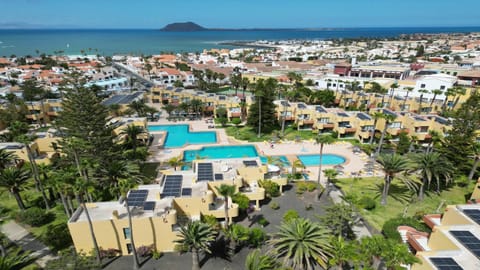 Garden, Landmark view, Swimming pool