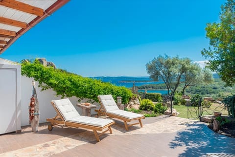 Patio, Day, Garden view, Inner courtyard view, sunbed