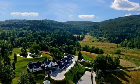 Bird's eye view, Summer, Garden