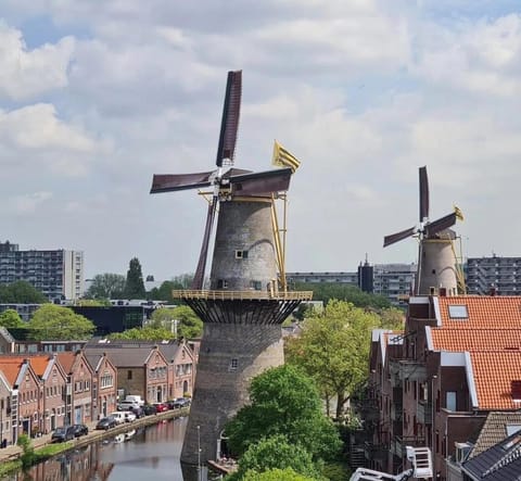 Nearby landmark, Neighbourhood, City view, Landmark view, Location