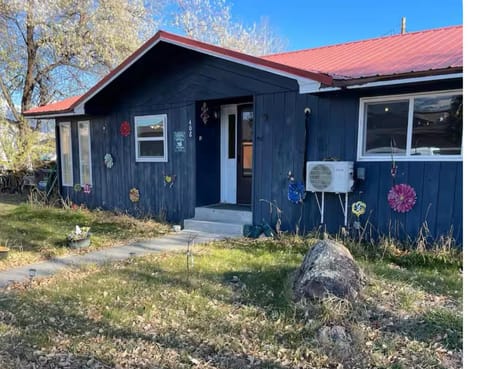 Cute 3 bedroom home in town House in Salmon