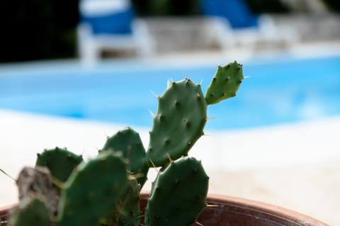 Trullo Dimora della Valle Bed and Breakfast in Province of Taranto