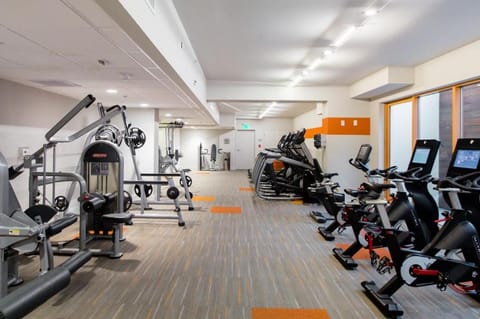 Cozy Apartment Homes On Wilshire Corridor Apartment in Westwood