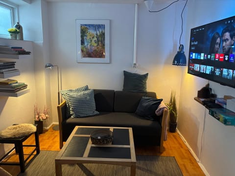 Hyggelig lejlighed tæt på centrum Apartment in Central Denmark Region