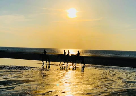 Le Camaieu Deauville Apartment in Deauville