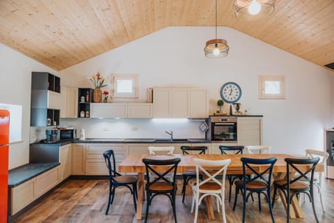 Kitchen or kitchenette, Dining area, oven, stove