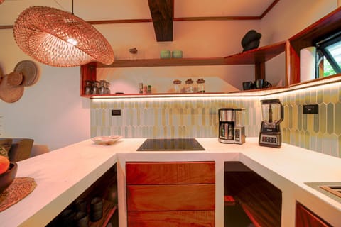 Coffee/tea facilities, Kitchen or kitchenette, stove