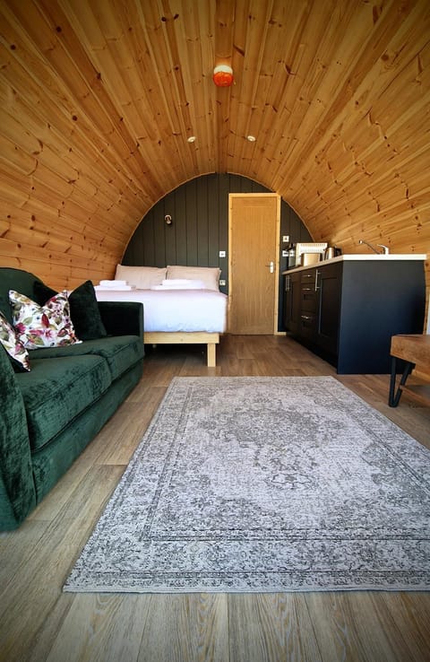 Bed, Kitchen or kitchenette, Seating area