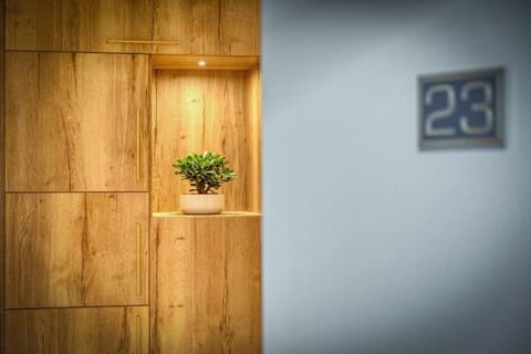 Appartement luxueux avec jacuzzi Apartment in Meylan