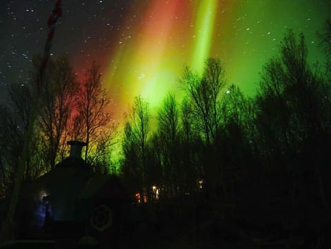 Night, Natural landscape
