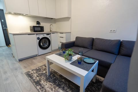 Kitchen or kitchenette, Living room, washing machine