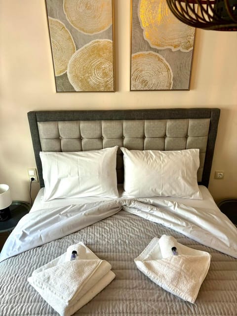 JD family luxury apartment 1 Apartment in Volos