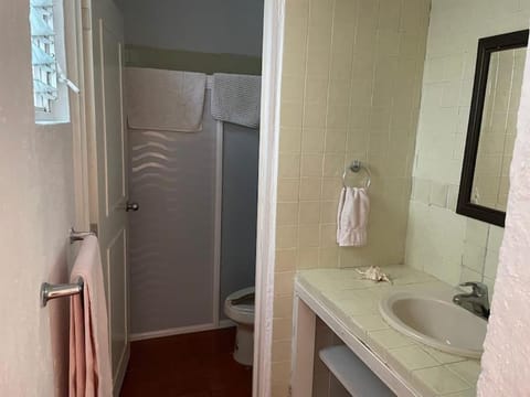 Villita en la floresta Apartment in Ajijic