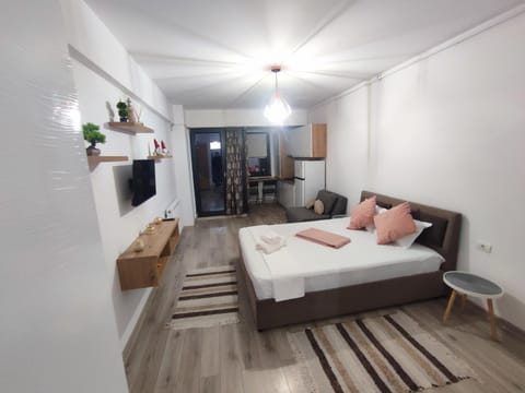 Bed, TV and multimedia, Living room, Photo of the whole room, Bedroom