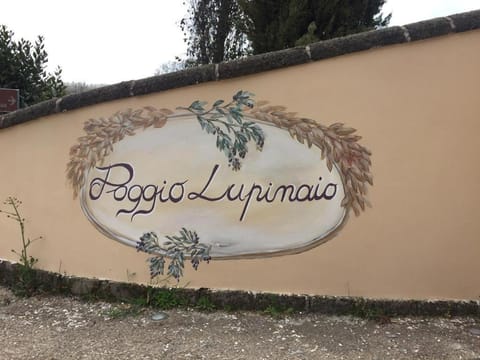 Podere Poggio Lupinaio House in Lazio