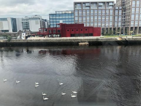 3bed 3bath Liffey river view Apartment in Dublin