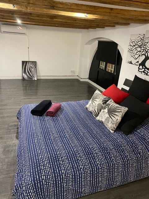 Loft No Compartido Centro de Barcelona Apartment in Barcelona