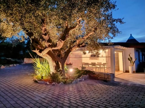 Property building, Spring, Evening entertainment