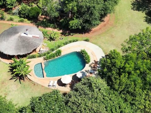 Bird's eye view, Swimming pool