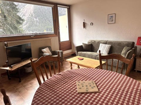 Spacieux appartement 6 pers, proche centre, animaux admis - FR-1-464-241 Apartment in Pralognan-la-Vanoise