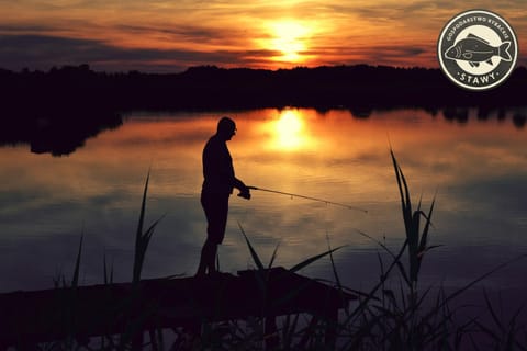 Summer, Fishing, On site, Sunset
