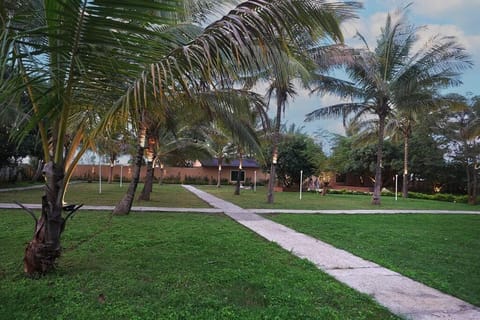 Natural landscape, Garden view