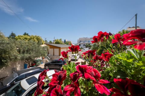 Spring, Day, Garden, Garden view, Parking