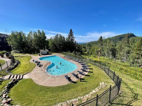 Ski in Ski out Cozy Studio Condo, Pool, Hot Tub, Views of Moose Mtn House in Lutsen