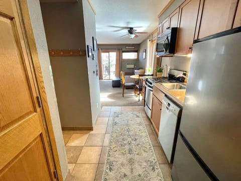 Ski in Ski out Cozy Studio Condo, Pool, Hot Tub, Views of Moose Mtn House in Lutsen