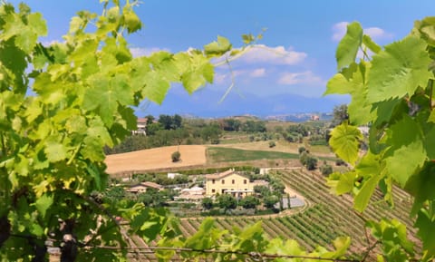 Spring, Day, Natural landscape, Garden, Garden view, Mountain view