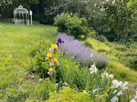 The Bears Den at La Soledad Farm Stay in Harpers Ferry