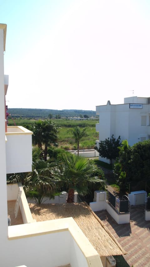Bird's eye view, Garden view, Garden view, Inner courtyard view