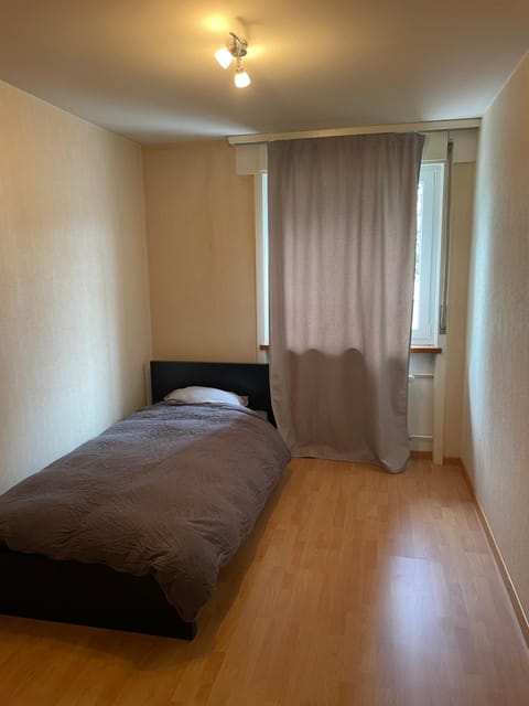 Moléson Apartment in Fribourg, Switzerland