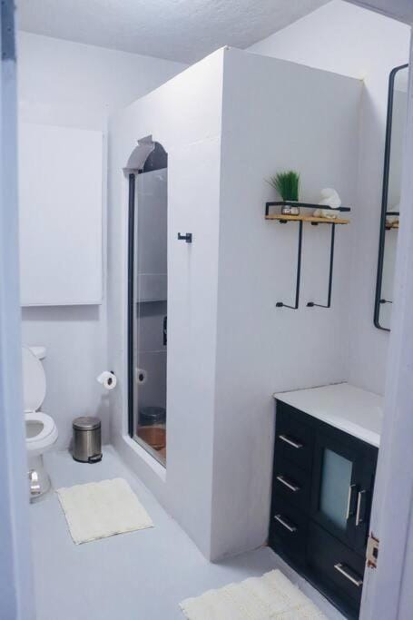 Shower, Toilet, Bathroom, towels