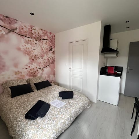 Le péronne-4 Apartment in Cambrai