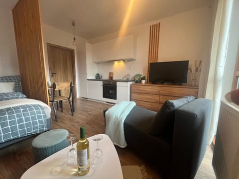 Communal lounge/ TV room, TV and multimedia, Kitchen or kitchenette, Living room, Photo of the whole room