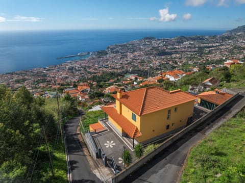 Property building, Bird's eye view, City view