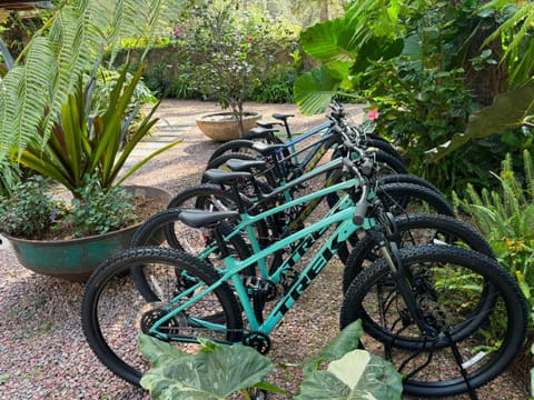 Pandurata Bed and Breakfast Bed and Breakfast in Valle de Bravo