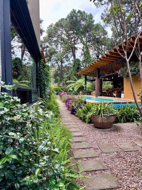 Pandurata Bed and Breakfast Bed and Breakfast in Valle de Bravo