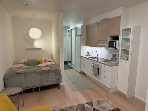 Studio Mukka, Ivalo Center Apartment in Lapland