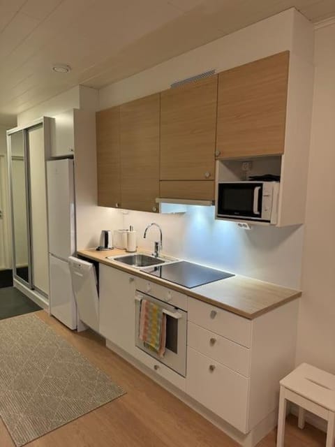 Studio Mukka, Ivalo Center Apartment in Lapland