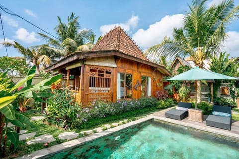 Property building, Garden, Garden view, Pool view, Swimming pool, sunbed