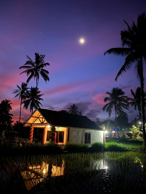 Night