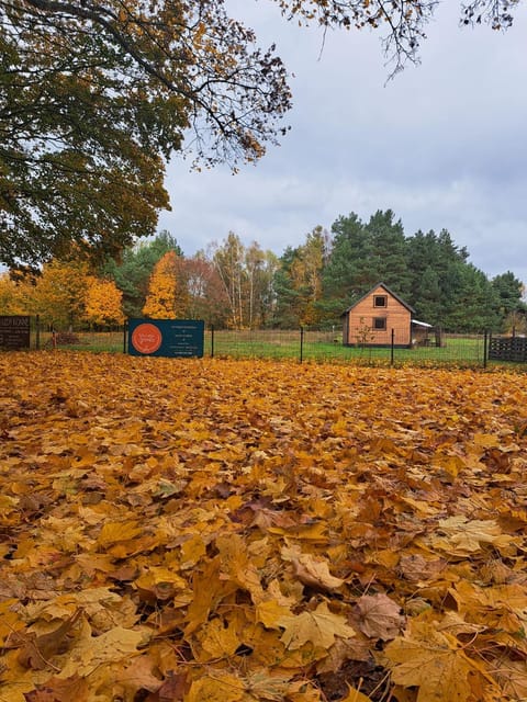 Property building, Natural landscape, Garden view
